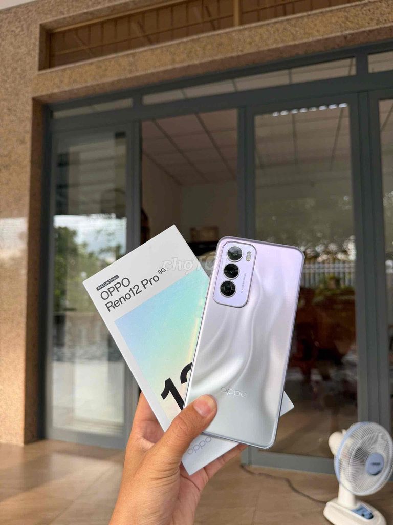 OPPO Reno 12 Pro 5G 512GB Bạc. Mua bán Điện thoại tại Huyện Tháp Mười Đồng Tháp được đăng bởi Đức máy zin hình 1