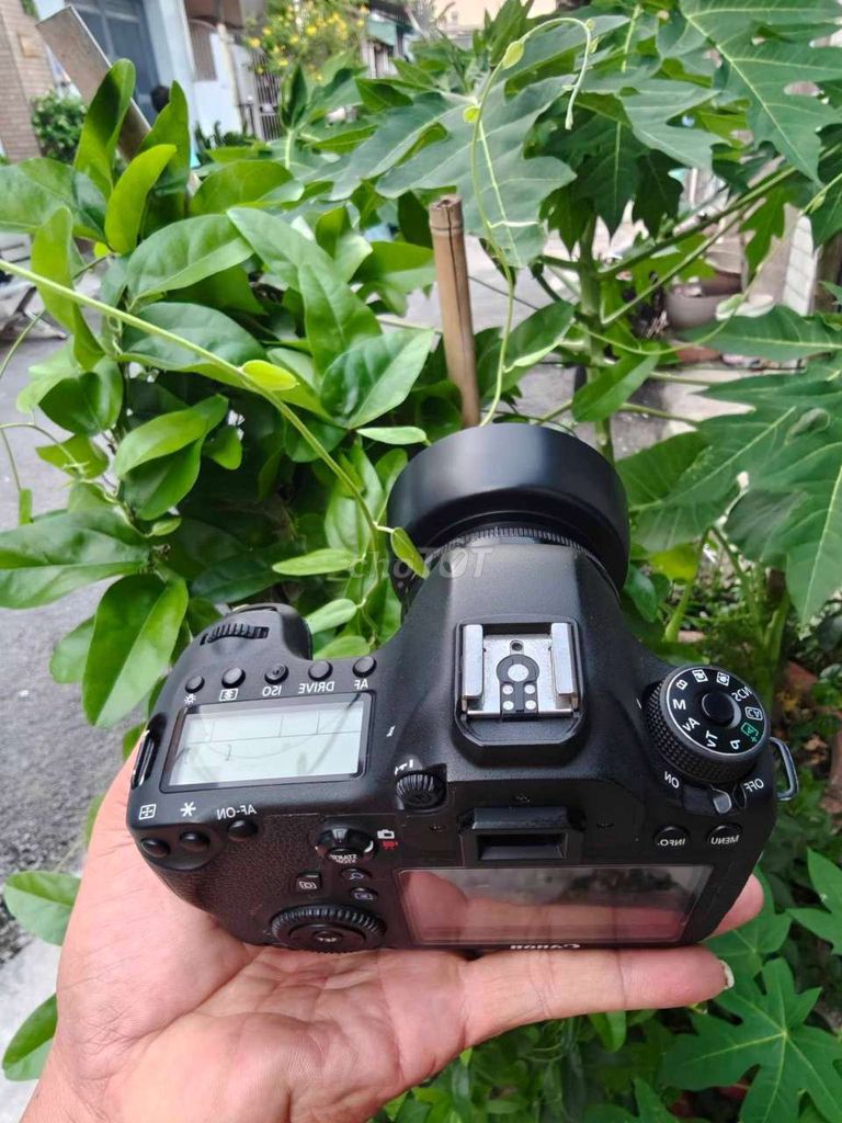 Máy ảnh Canon 6D 50F1.8II Đen. Mua bán Máy ảnh, Máy quay tại Huyện Đức Linh Bình Thuận được đăng bởi TA SAY KO PHẢI VÌ MEN hình 1