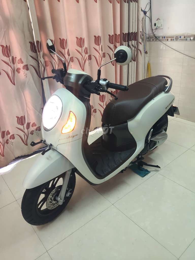 Honda Scoopy 2024 chính chủ mới như xe hãng 99%. Mua bán Xe máy tại Quận Gò Vấp Tp Hồ Chí Minh được đăng bởi Mr Lam hình 15