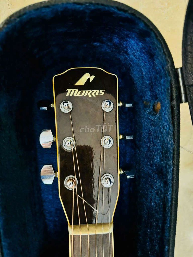 Đàn guitar Morris M501 Vàng nâu. Mua bán Nhạc cụ tại Quận Liên Chiểu Đà Nẵng được đăng bởi Audio 2109 hình 1