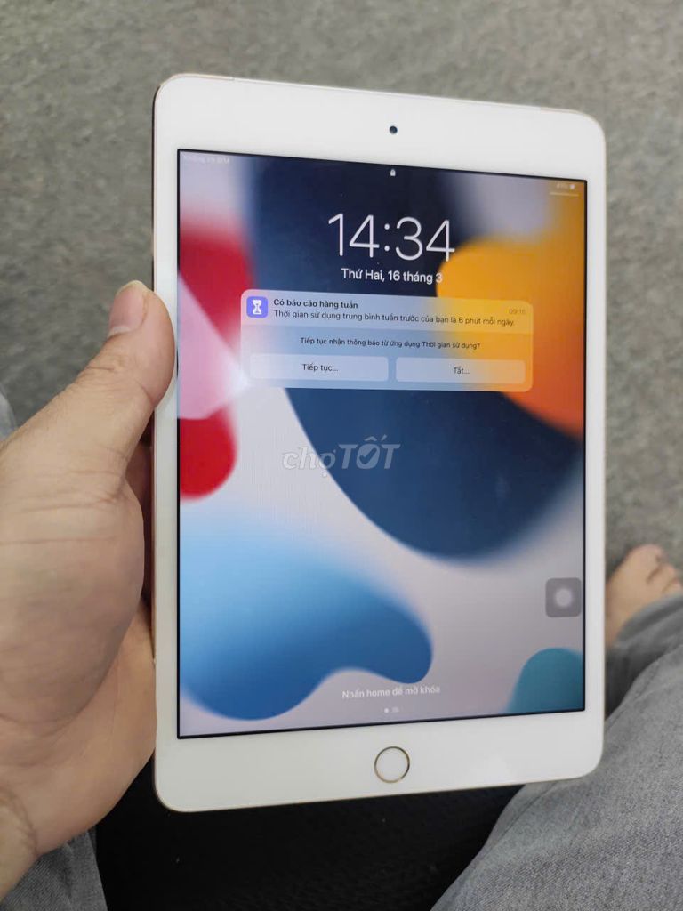 Apple iPad Mini 4 7.9 inch 2GB/16GB. Mua bán Máy tính bảng tại Quận Bắc Từ Liêm Hà Nội được đăng bởi Minh Dũng hình 1
