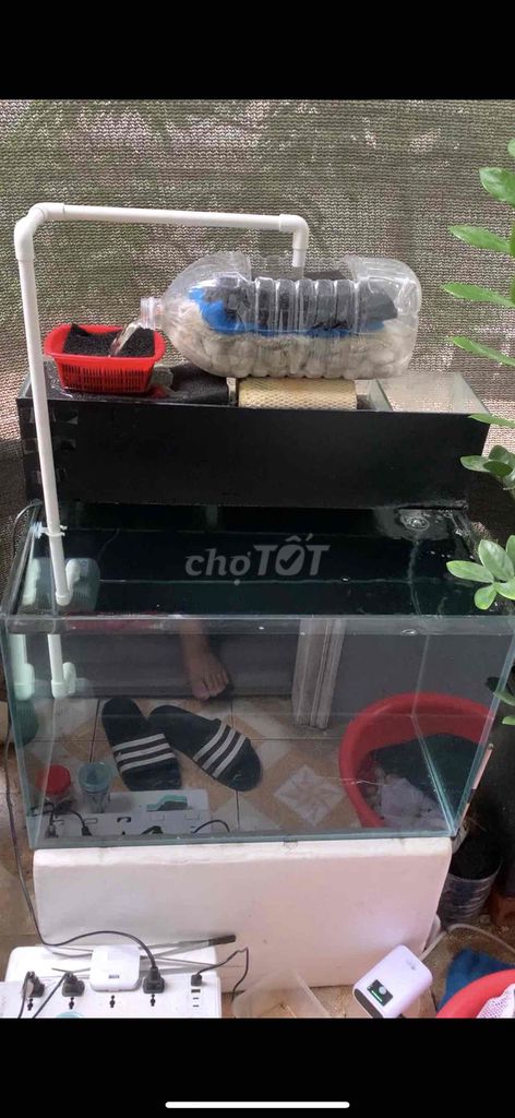 Bể cá cảnh 644. Mua bán Thú cưng khác tại Quận Hai Bà Trưng Hà Nội được đăng bởi Vua Trò Chơi hình 1