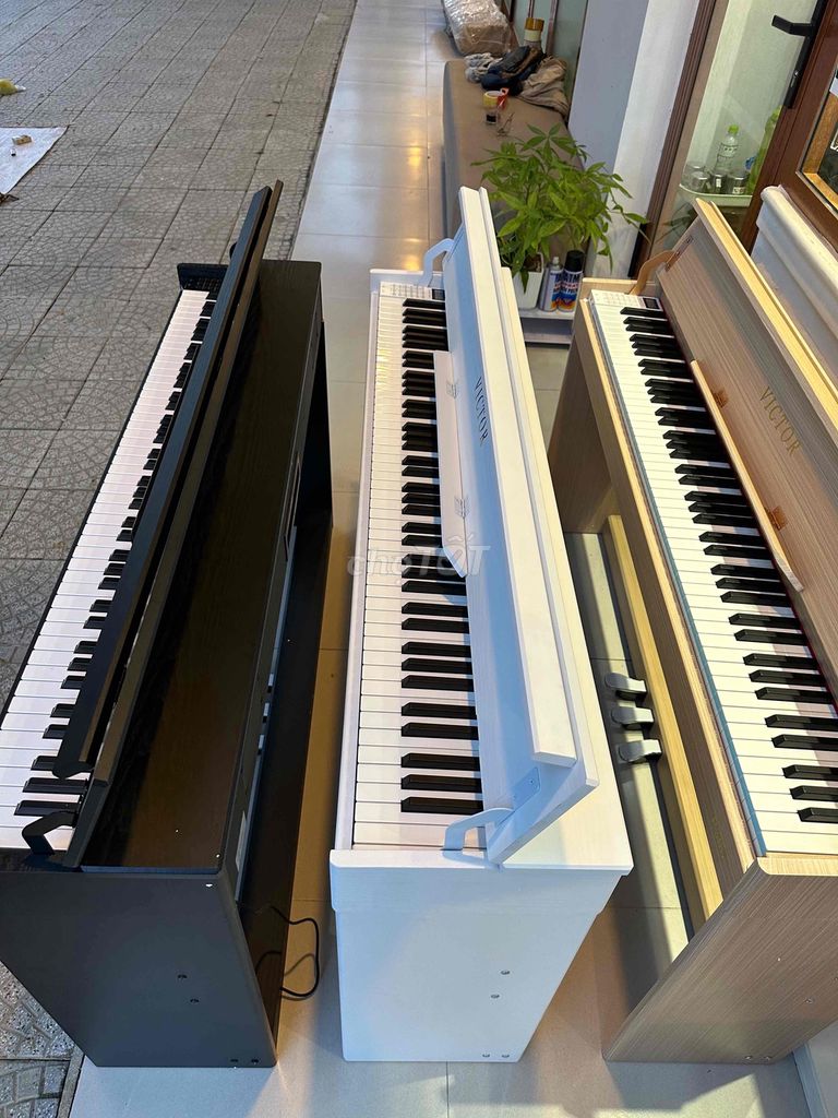 Piano Điện Cao Cấp