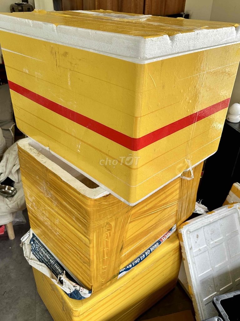 Thùng xốp nuôi cá, bể thủy sinh. Mua bán Đồ chuyên dụng, Giống nuôi trồng tại Quận Cầu Giấy Hà Nội được đăng bởi Nguyễn Mỹ Anh  hình 1