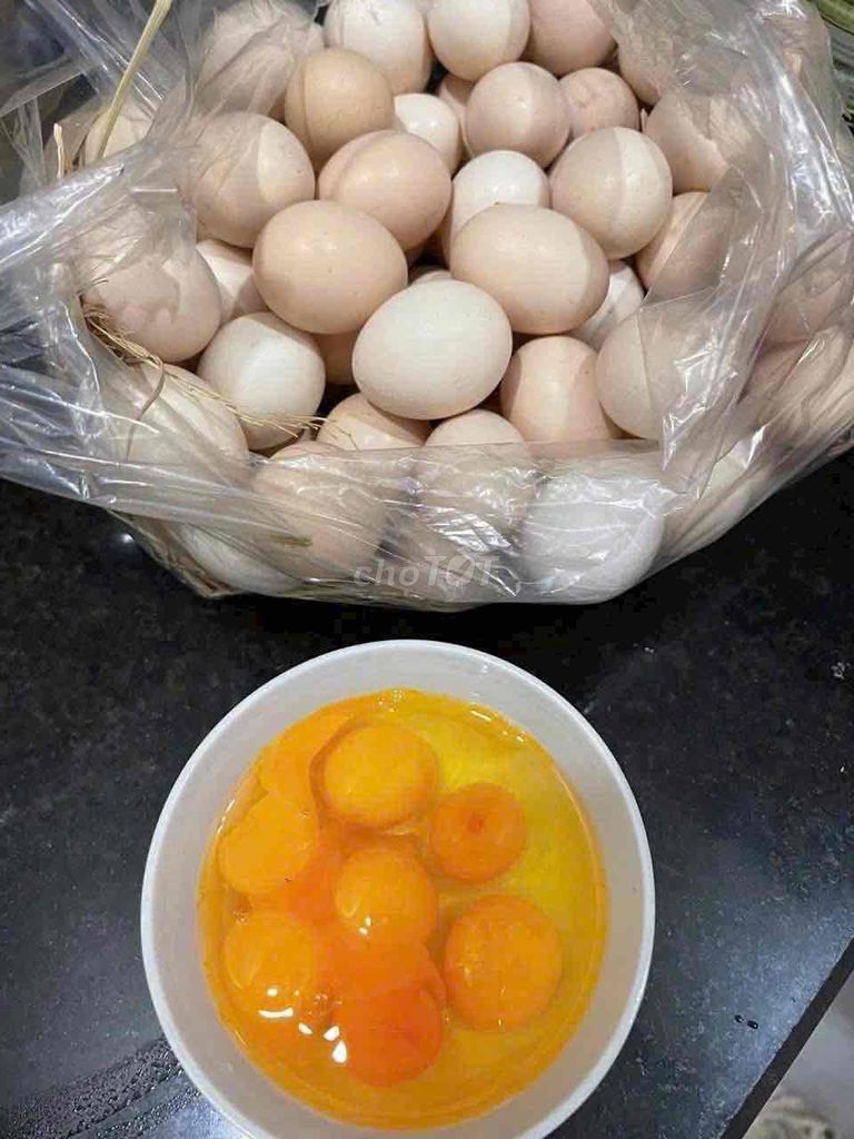 Trứng gà ta so 50 trứng. Mua bán Đồ ăn, thực phẩm và các loại khác tại Huyện Hóc Môn Tp Hồ Chí Minh được đăng bởi Hôm Nay Ăn Gì hình 1
