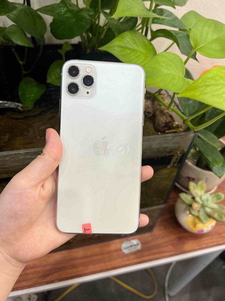Apple iPhone 11 Pro Max 256GB Bạc 95%. Mua bán Điện thoại tại Quận Bắc Từ Liêm Hà Nội được đăng bởi Nam APPLE hình 1