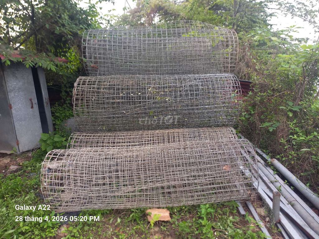Cần bán cao 1m70 thép ko gỉ. Mua bán Đồ chuyên dụng, Giống nuôi trồng tại Huyện Thường Tín Hà Nội được đăng bởi Hany hình 1