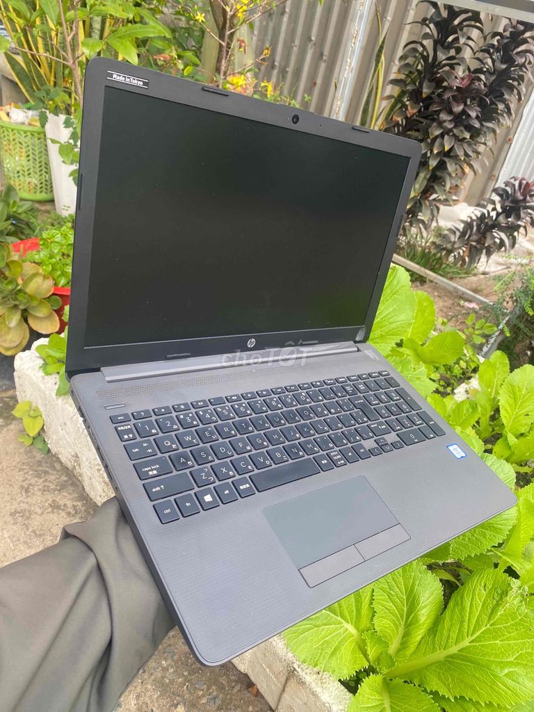 Lptop HP bảo hành 12 tháng