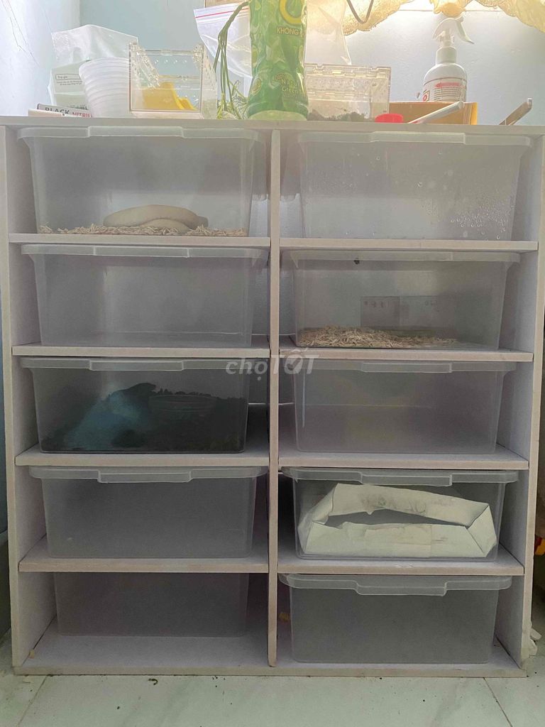 rack nuôi bò sát A4 Mới. Mua bán Thú cưng khác tại Huyện Nhà Bè Tp Hồ Chí Minh được đăng bởi Noname hình 1