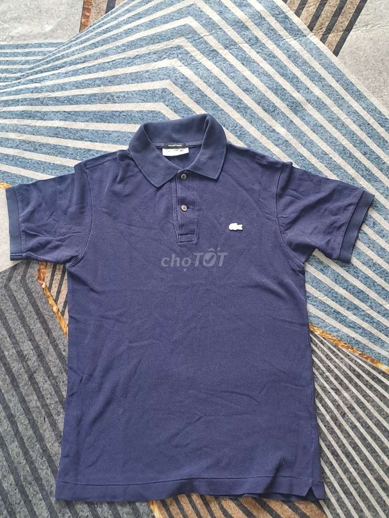 Áo polo Lacoste Nam Xanh navy Thoáng mát. Mua bán Quần áo tại Thành phố Hải Dương Hải Dương được đăng bởi Hải Anh hình 1