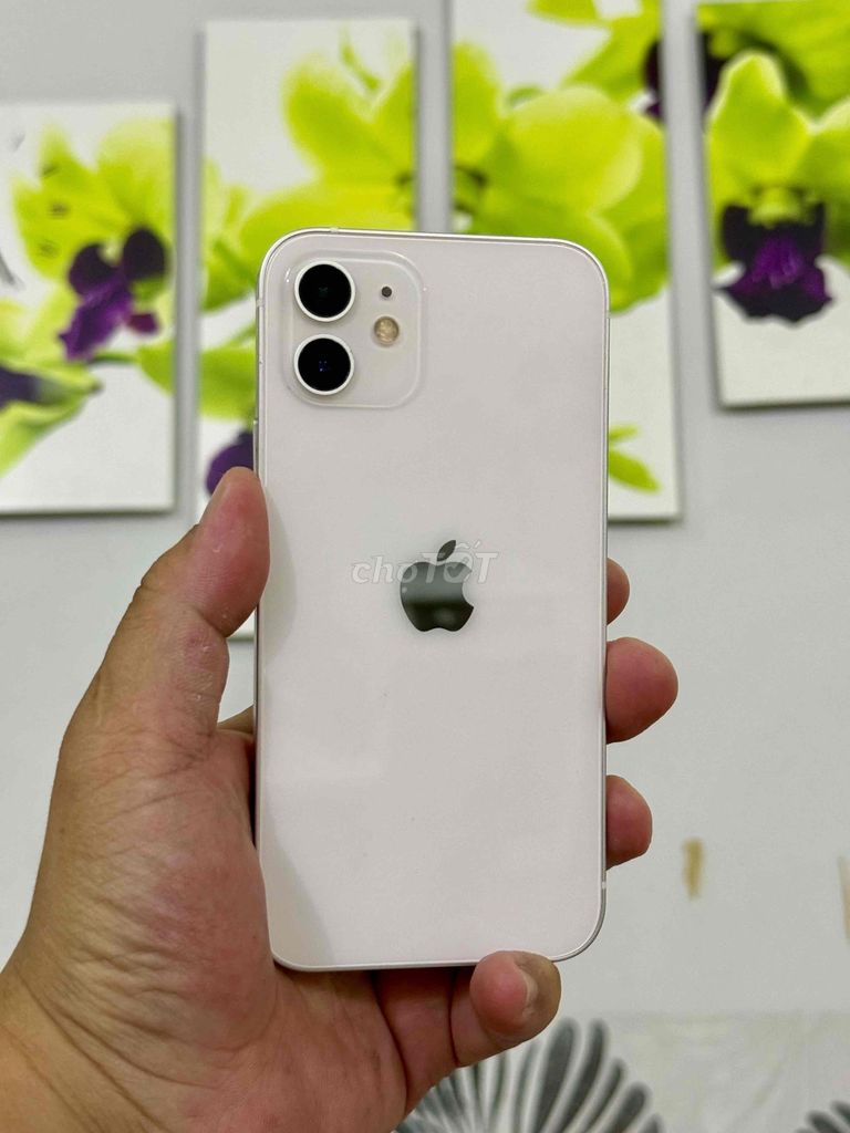 Apple iPhone 12 64GB Quốc tế Bạc Zin Đẹp giá tốt. Mua bán Điện thoại tại Thành phố Thủ Dầu Một Bình Dương được đăng bởi Đăng Store hình 1