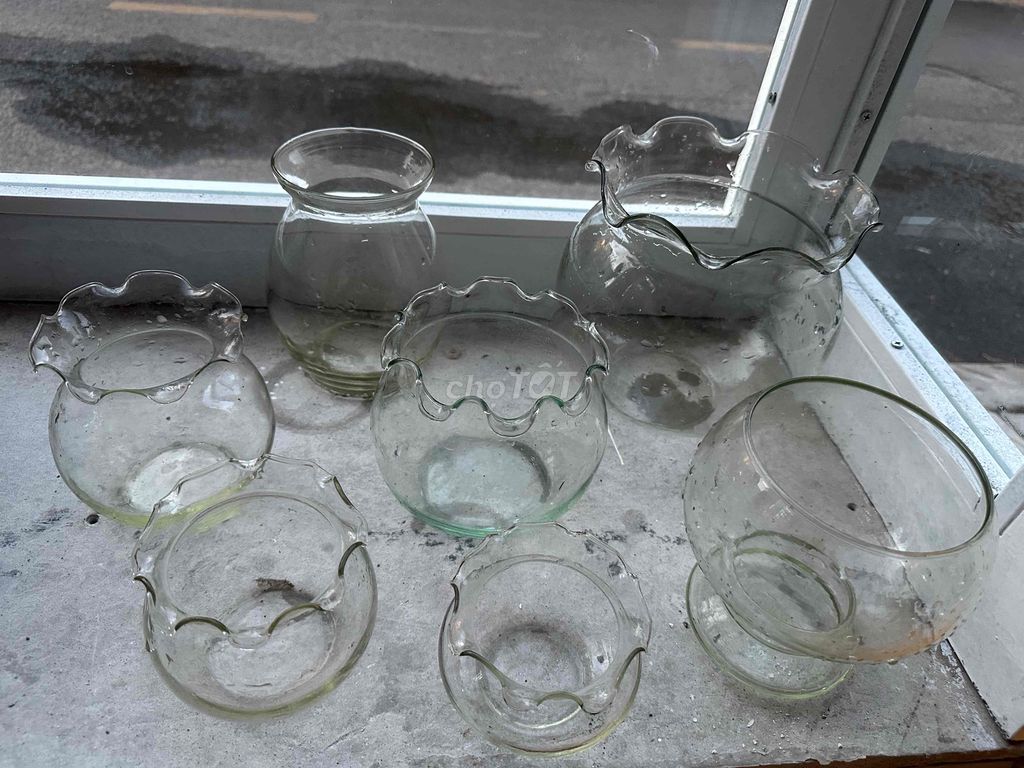 Bể cá. Mua bán Phụ kiện, Thức ăn, Dịch vụ tại Quận 1 Tp Hồ Chí Minh được đăng bởi Petit hình 1