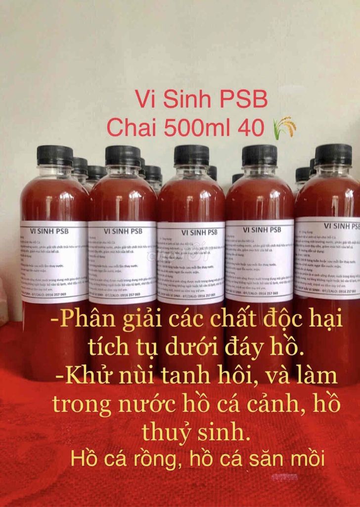 khử mùi tanh nước hồ, làm trong nước