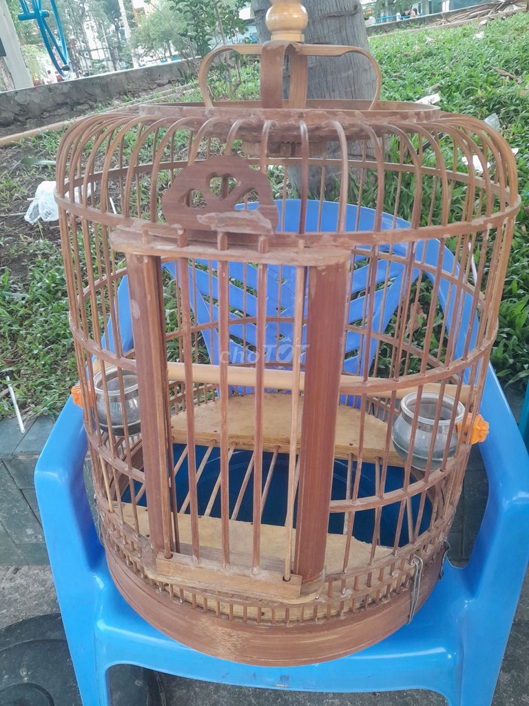 Lồng chim mi cu 60 nan còn tốt thanh lý rẻ. Mua bán Phụ kiện, Thức ăn, Dịch vụ tại Quận Phú Nhuận Tp Hồ Chí Minh được đăng bởi Chicken lee hình 1