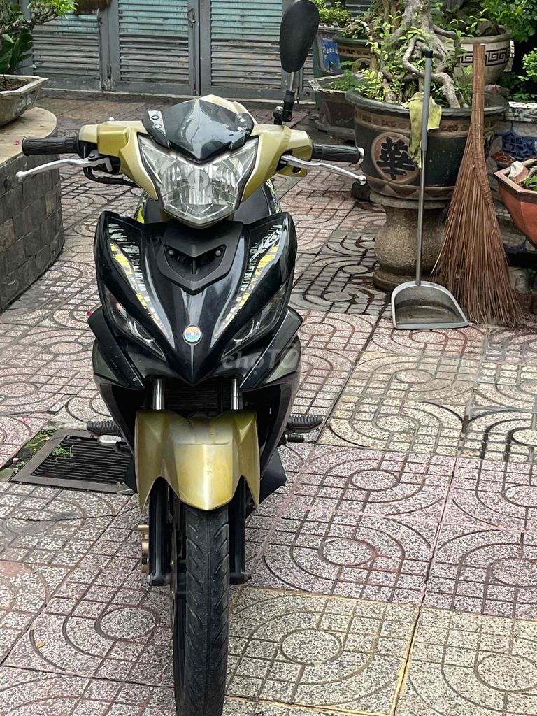 Продажа Exciter 135 2013, черное золото, трейлер Bst62 GTDD