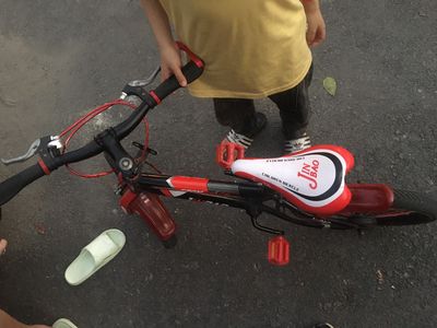 Xe đạp trẻ em hãng Jinbao Trung quốc