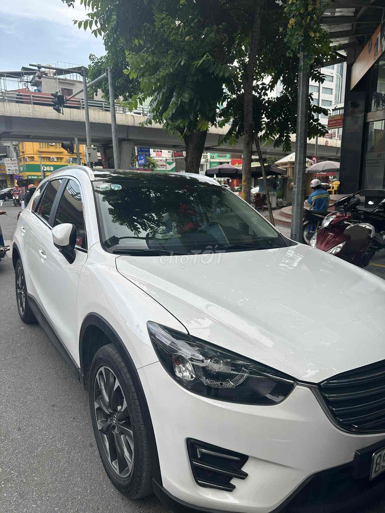 Ảnh số 5