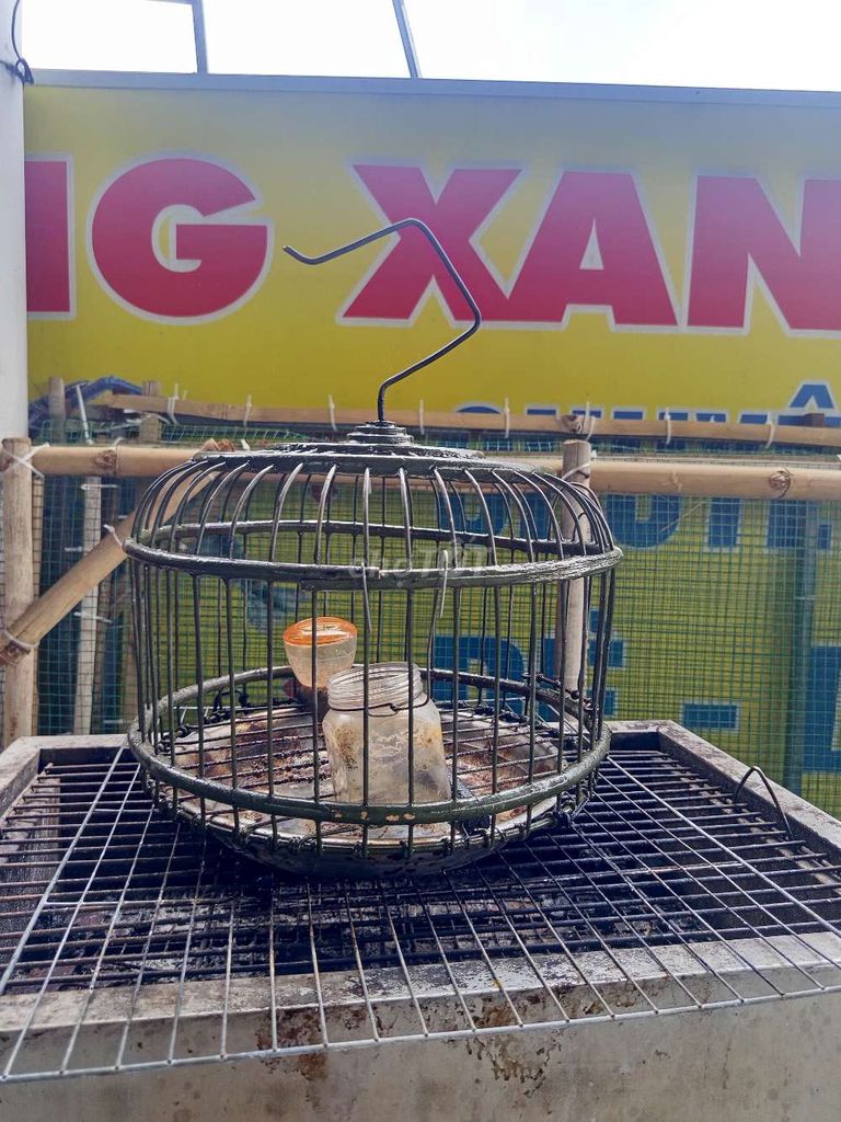 Lồng chim cu gáy Kim loại. Mua bán Phụ kiện, Thức ăn, Dịch vụ tại Huyện Long Điền Bà Rịa - Vũng Tàu được đăng bởi Quyền phạm hình 1