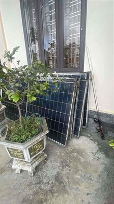 pin NLMT cũ tháo mái 545w. Mua bán Đồ chuyên dụng, Giống nuôi trồng tại Huyện Thuỷ Nguyên Hải Phòng được đăng bởi Quốc Việt