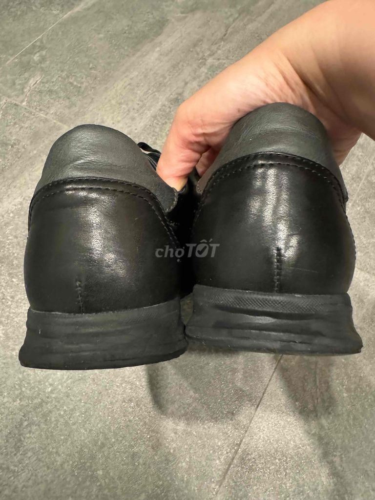 Giày Sneaker Geox da xịn