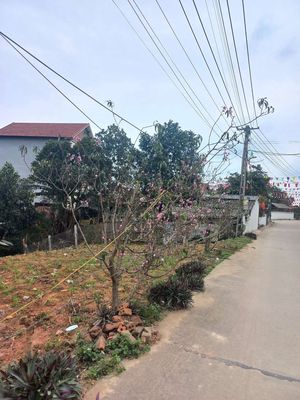 Cần Chuyển Nhượng Lô Đất Ở Nông Thôn lô đất 6m ×20m .. Mua bán đất tại Huyện Tam Nông Phú Thọ được đăng bởi Hán xuân hòa