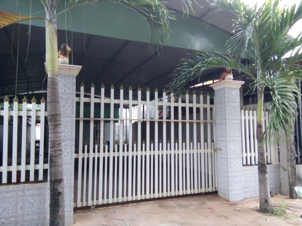 Cho Thuê nhà nguyên căn xã Phước Hòa, Phú giáo, BD