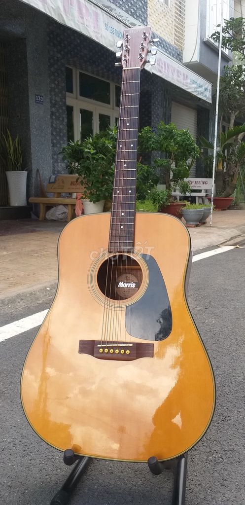 0794376789 - Guitar Morris MD502