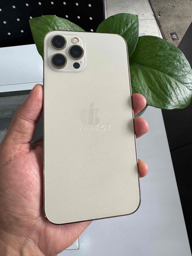 iPhone 12 Pro Max. QT. Full CN. Mua bán Điện thoại tại Quận Ninh Kiều Cần Thơ được đăng bởi phan Nhân  hình 1