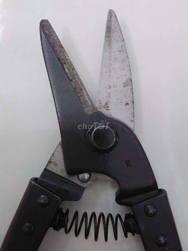 Kéo cắt tôn MCC Nhật Bản 21cm Gần như mới. Mua bán Đồ chuyên dụng, Giống nuôi trồng tại Thị xã Bình Minh Vĩnh Long được đăng bởi Vũ hình 1