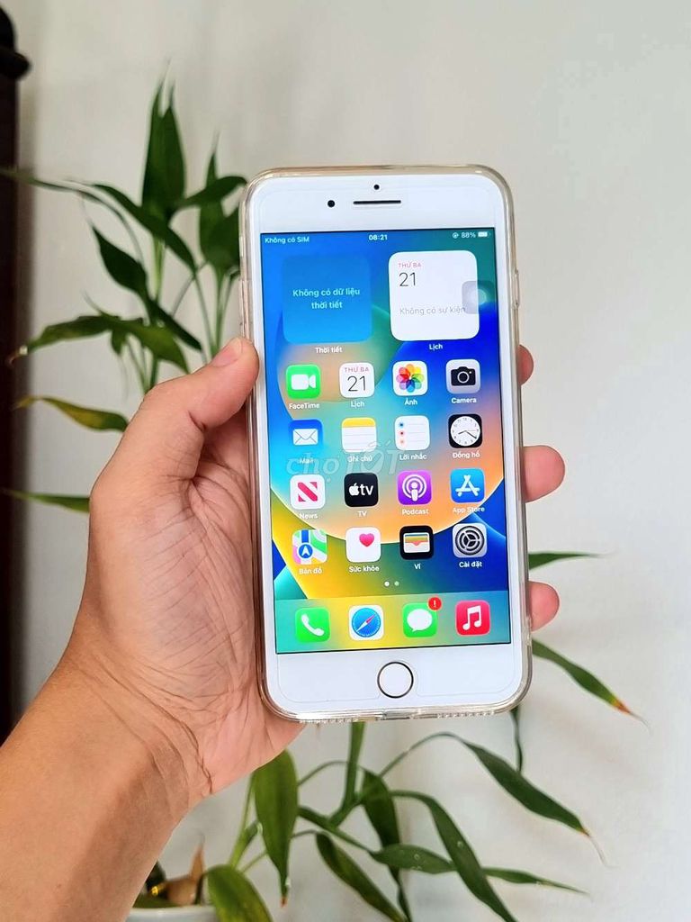 Apple iPhone 8 Plus quốc tế . Mua bán Điện thoại tại Quận Hải Châu Đà Nẵng được đăng bởi Lộc Roy hình 1