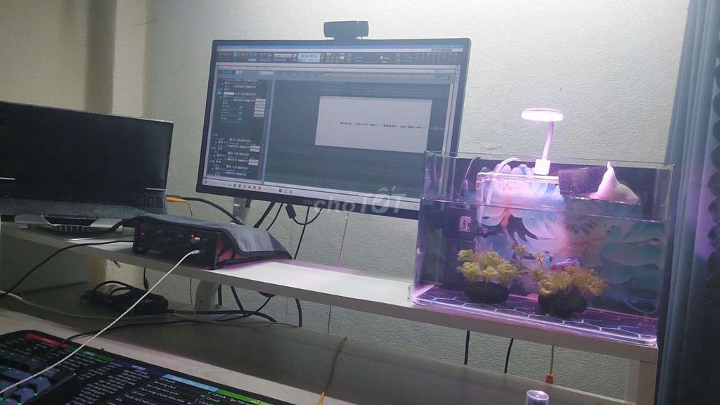 Dell P24 Đen Màn hình máy tính. Mua bán Phụ kiện (Màn hình, Chuột...) tại Quận 7 Tp Hồ Chí Minh được đăng bởi NNstudio ĐìnhNhiên hình 1