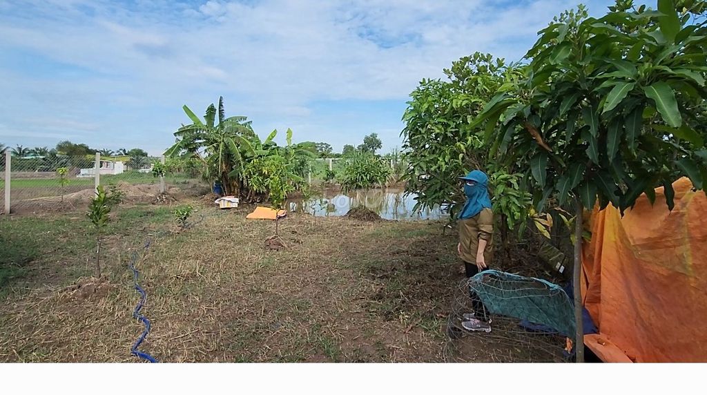 Bán Đất Nông Nghiệp tại Tân Quý Tây, Huyện Bình Chánh