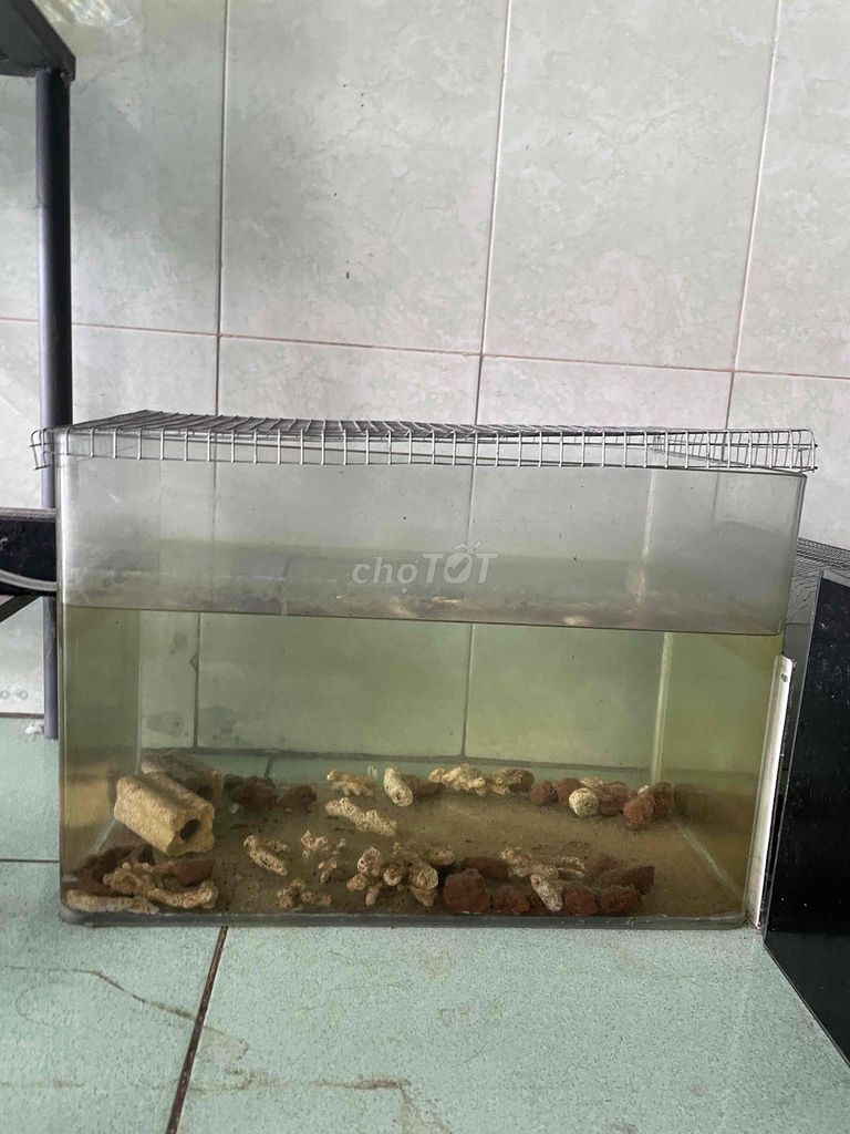 hồ đúc dư. Mua bán Phụ kiện, Thức ăn, Dịch vụ tại Huyện Củ Chi Tp Hồ Chí Minh được đăng bởi  QUỐC THÁI hình 1