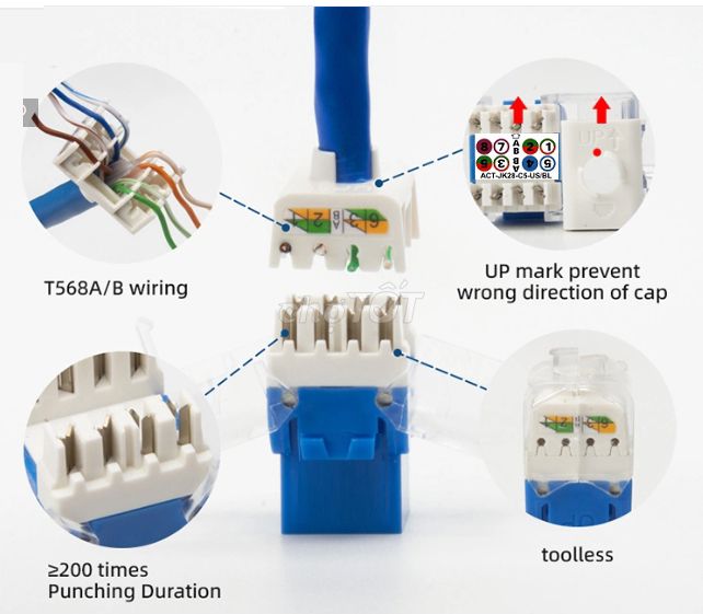 Nhân đấu nối RJ45 âm tường Cat5 CAT6 UTP Ancomteck