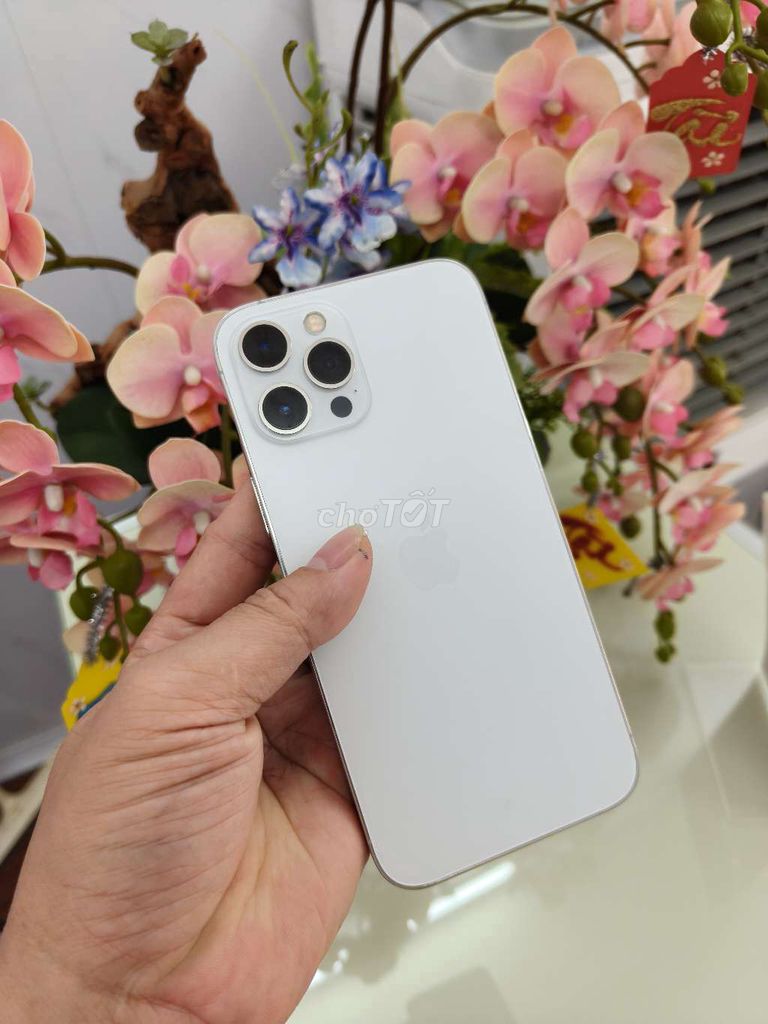 Apple iPhone 12 Pro Max trắng quốc tế. Mua bán Điện thoại tại Thành phố Buôn Ma Thuột Đắk Lắk được đăng bởi Tèo Điện Thoại  hình 1