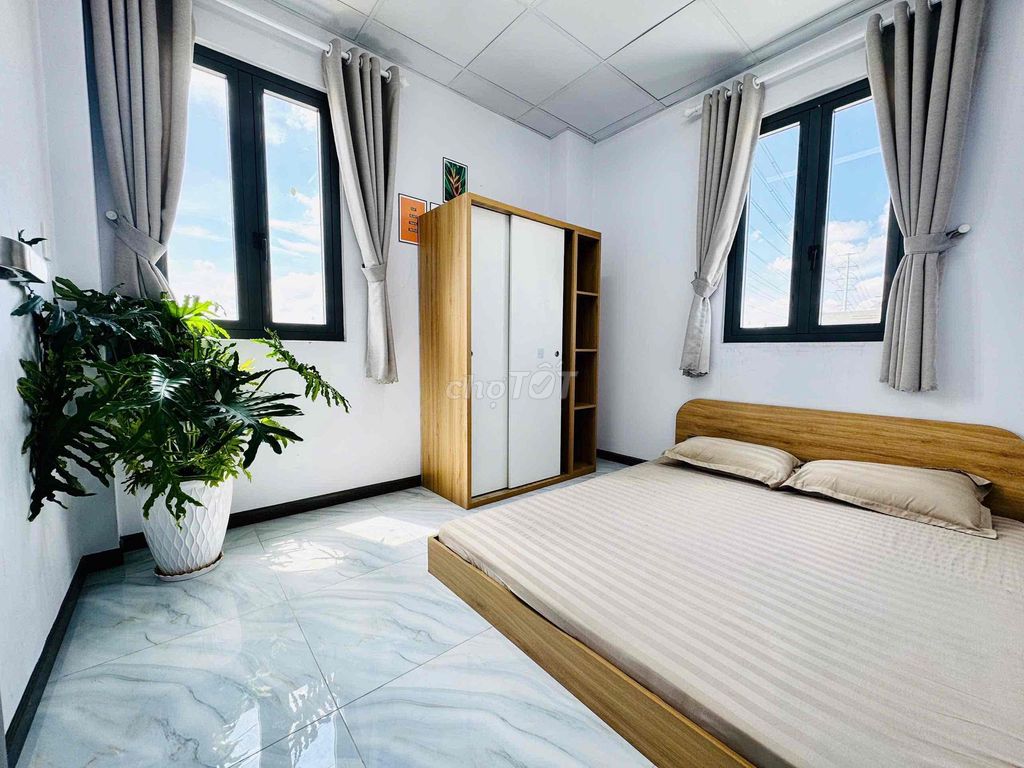 Lên ngay con siêu phẩm 1PN giá hạt dẻ gần đại học UEH Nguyễn Văn Linh - ảnh 4