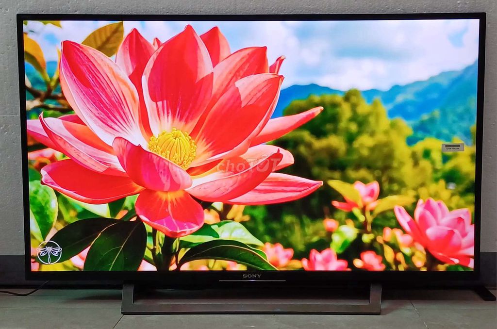 Tivi Sony 4K 43 inch sáng đẹp có giọng nói. Mua bán Tivi, Âm thanh tại Quận Ninh Kiều Cần Thơ được đăng bởi Luật Nguyễn hình 1