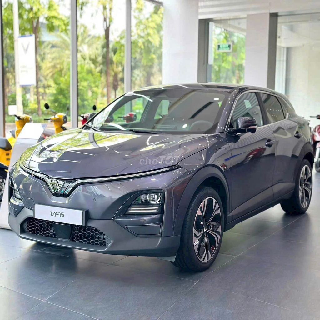 Ảnh số 5