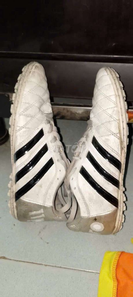 Giày đá bóng Wika Nam Trắng size 40 cũ. Mua bán Đồ thể thao, Dã ngoại tại Quận Bình Tân Tp Hồ Chí Minh được đăng bởi Duong Kiencuong hình 1