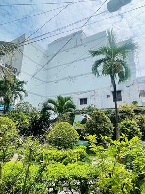NHÀ 310M2 (14X40)CHDV 7 TẦNG DÒNG TIỀN 153tr/tháng 62 phòng HẺM XE HƠI. Mua bán nhà ở tại Quận Tân Bình Tp Hồ Chí Minh được đăng bởi NHƯ Ý NHÀ HẺM XE HƠI