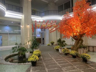 Apartment 77 m² · 2 bed · Khu căn hộ Thuận Việt