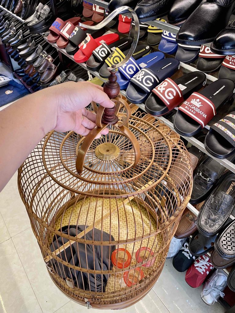 Lồng chim. Mua bán Phụ kiện, Thức ăn, Dịch vụ tại Huyện Đông Anh Hà Nội được đăng bởi Hà Tiến Lâm hình 1
