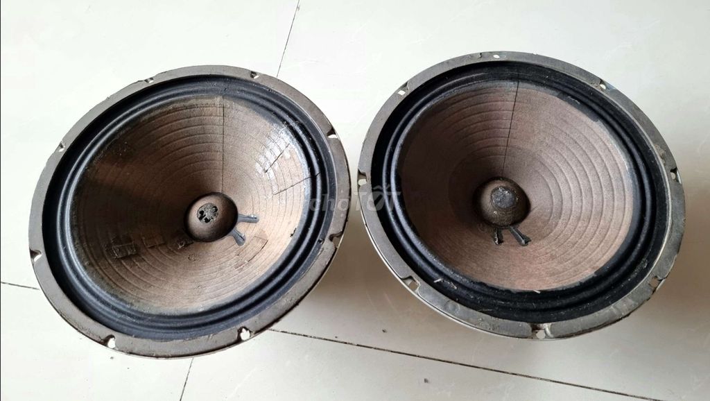 CẶP CỦ LOA MỸ 25CM FENDER CTS 10" 1976