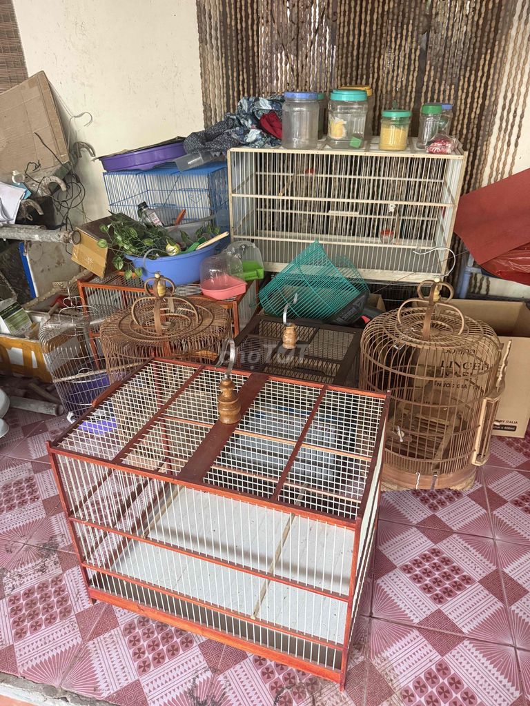 Lồng chim gỗ kim loại nhiều màu. Mua bán Phụ kiện, Thức ăn, Dịch vụ tại Quận Bắc Từ Liêm Hà Nội được đăng bởi vọng hình 1