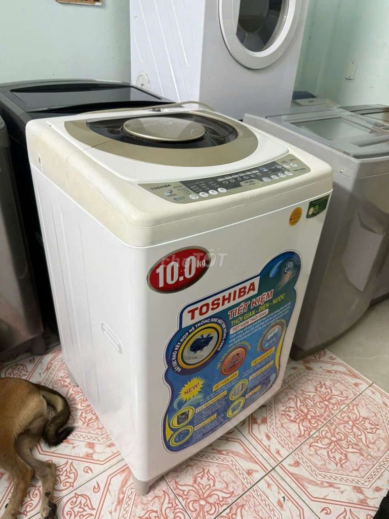 Máy giặt Toshiba 10kg Trắng tiết kiệm điện. Mua bán Máy giặt tại Quận 7 Tp Hồ Chí Minh được đăng bởi Điện Lạnh Giá Tốt hình 1