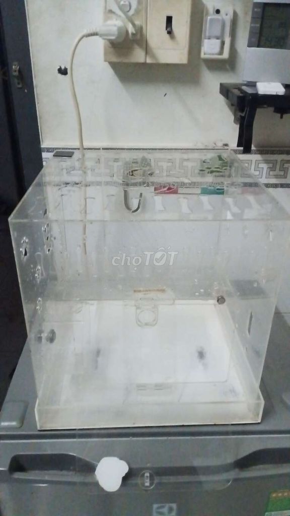Lồng nuôi thú cưng nhựa trong suốt thông thoáng. Mua bán Phụ kiện, Thức ăn, Dịch vụ tại Quận 7 Tp Hồ Chí Minh được đăng bởi Canhchimkhongmoi hình 1