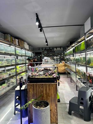 🌿 TUYỂN DỤNG NHÂN VIÊN THIẾT KẾ TERRARIUM 🌿