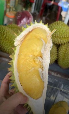 Sale cơm sầu 250k/kg. Mua bán Đồ ăn, thực phẩm và các loại khác tại Quận Bình Thạnh Tp Hồ Chí Minh được đăng bởi trúc cao 