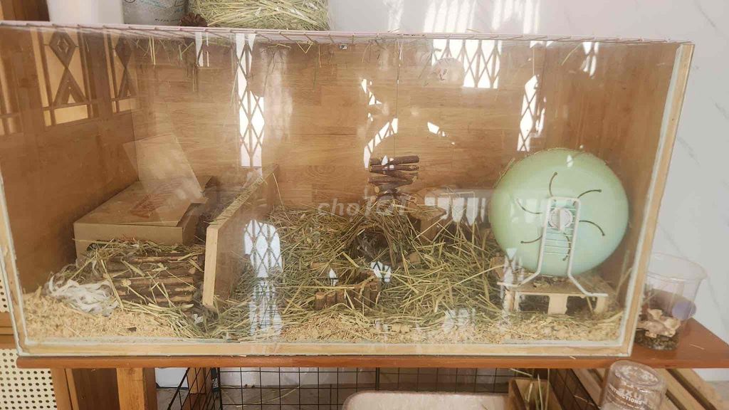 Lồng nuôi hamster. Mua bán Phụ kiện, Thức ăn, Dịch vụ tại Quận 11 Tp Hồ Chí Minh được đăng bởi Long Tạ hình 1