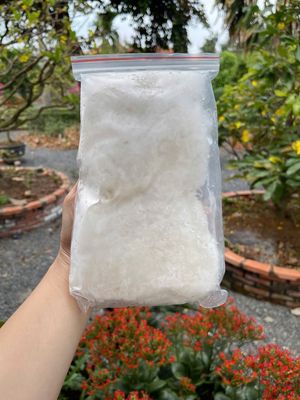 Yến tươi nhà nuôi. Mua bán Đồ ăn, thực phẩm và các loại khác tại Quận Tân Phú Tp Hồ Chí Minh được đăng bởi Tran Nguyen Thi Huyen